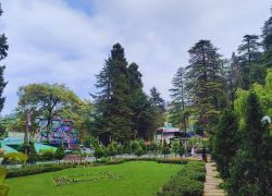 Company Garden