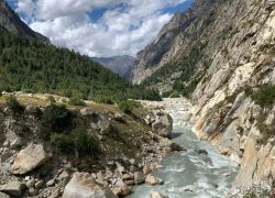Gangotri National Park in Gangotri