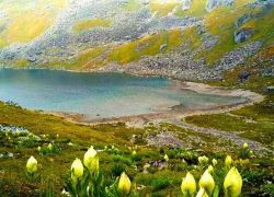 Vasuki Tal in Kedarnath
