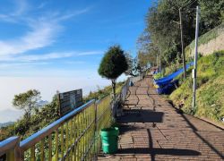 Coaker's Walk