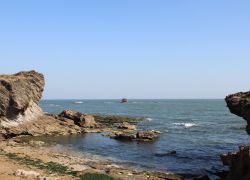 Diyanat in Daman & Diu