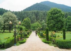 Kokernag Botanical Garden