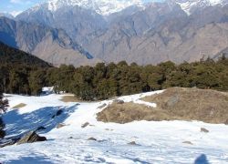 Gorson Bugyal in Joshimath
