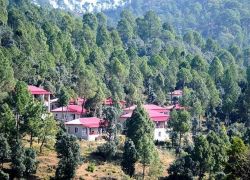 Majhkhali in Ranikhet