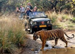 Ranthambore National Park