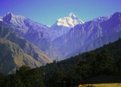 Gurso Bugyal in Auli