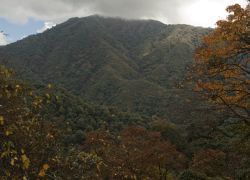 Eaglenest Wildlife Sanctuary in Bomdila