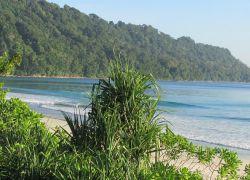 Radhanagar Beach