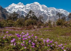 Lachung Valley in Lachen