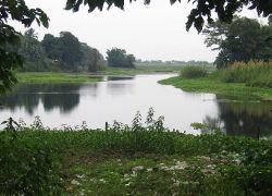Barpathar River in Golaghat