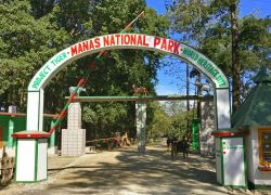 Manas National Park in Golaghat