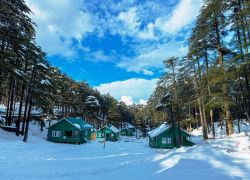 Patnitop Park in Patnitop