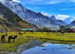 Pahalgam in Kashmir