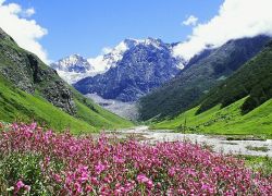 Valley of Flowers National Park in Chamoli