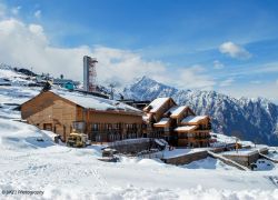 Auli