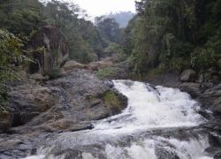 Puliyancholai Falls in Trichy