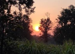 Bamni Dadar Sunset Point in Kanha
