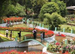 Sim's Park