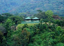 Pampadam Shola National Park in Idukki