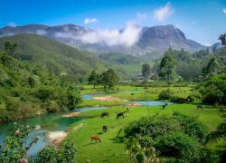 Anamudi Peak in Idukki
