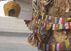 Dungeshwari Cave Temples in Gaya