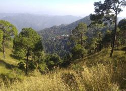Gilbert Trail in Kasauli