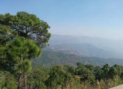 Monkey Point in Kasauli