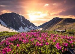 Valley of Flowers National Park in Garhwal