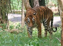 Nameri National Park