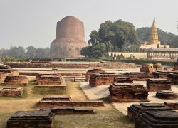 Ashoka Pillar in Sarnath