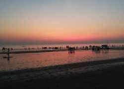 Mandvi Beach in Ratnagiri