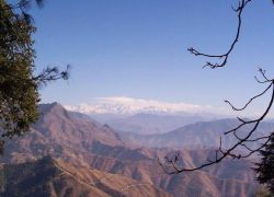 Deoban in Dhanaulti