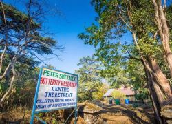 Butterfly Research Center in Bhimtal