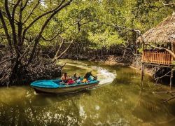 Baratang Island Beach in Andaman & Nicobar Islands