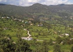 Kanda Valley in Bageshwar