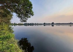 Junona Lake in Chandrapur