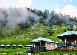 Chopta Valley
