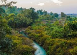 Pakhal Lake Wildlife Sanctuary in Warangal