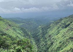 Camel Valley in Igatpuri