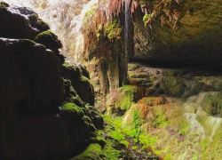 Alfred Caves
