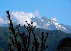 Maenam Wildlife Sanctuary in Ravangla