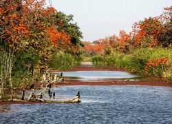 Sita Mata Wildlife Sanctuary in Dhar