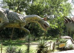 Fossil Park in Khargone