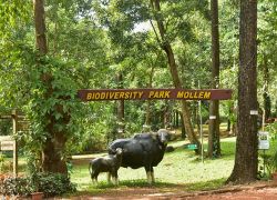 Mollem National Park in Goa