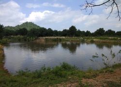 Chunar Wildlife Sanctuary in Mirzapur