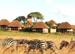 Kidepo Valley National Park in Karamoja