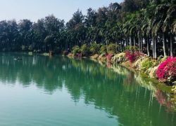 Mirasol Lake Garden in Daman & Diu