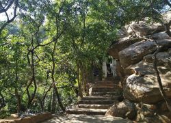 Virupaksha Cave in Tiruvannamalai