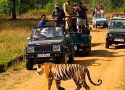 Jeep Safari in Sikar in Sikar
