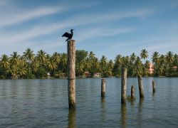 Pathiramanal Beach in Alleppey
